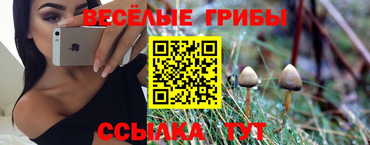 Галлюциногенные грибы GOLDEN TEACHER Берёзовский
