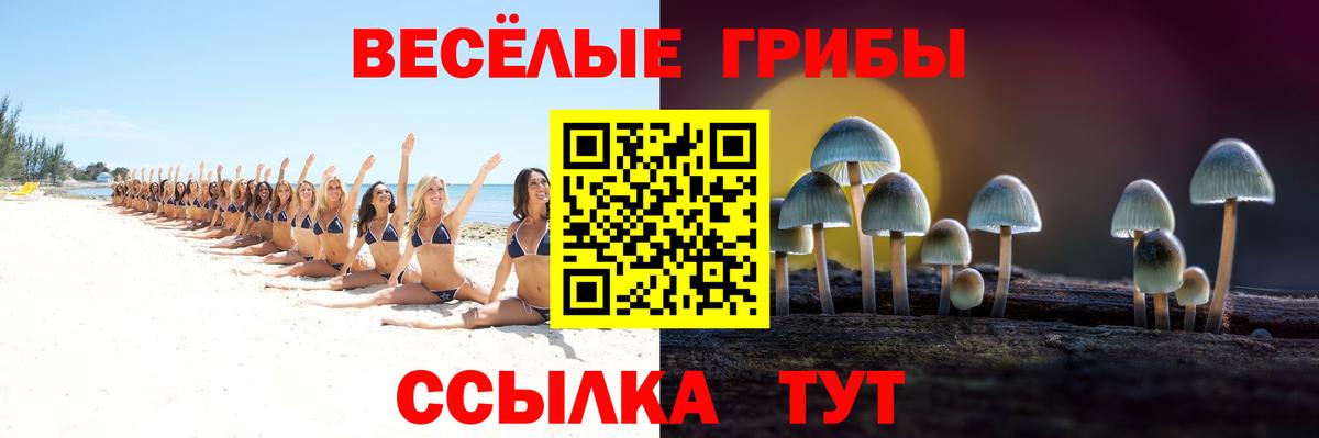 Псилоцибиновые грибы GOLDEN TEACHER  Псилоцибиновые грибы мицелий  Берёзовский 