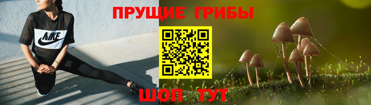 Берёзовский  Псилоцибиновые грибы Psilocybine cubensis  Вход с VPN 